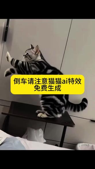 倒车请注意猫猫ai特效教程#倒车请注意猫猫 #倒车请注意舞蹈 #倒车请注意舞蹈挑战 #小猫ai跳舞 #剪映 请注意倒车ai制作 狗狗跳舞ai特效 猫咪跳舞ai特效 萌娃跳舞ai特效 宝宝跳舞ai特效 狗狗搞笑舞蹈 傻狗摇舞 小狗跳舞视频怎么制作 倒车请注意ai 倒车请注意舞蹈怎么生成的倒车请注意舞蹈儿童 倒车请注意舞蹈ai一键生成 萌娃倒车舞蹈ai生成 AI请注意洒水车舞来了 ai跳舞一键生成入口 倒车洒水摇舞蹈动作ai 宠物跳舞ai特效