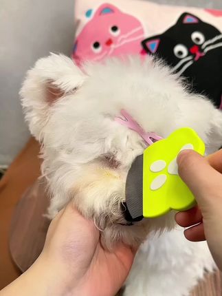 #宠物用品 #萌宠 #养宠必备 #宠物好物 #萌宠梳子