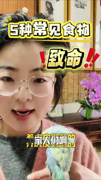 🚨 养虎皮必看!这5种“隐形毒药”,喂错大概率暴毙!#虎皮鹦鹉 #手养鹦鹉 #鹦鹉日常 #鹦鹉科普