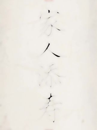 ㊗️家人添寿#练字是一种生活 #书法艺术人生 #书法是一种生活