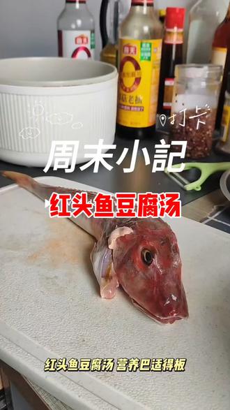 秋冬暖身 红头鱼炖豆腐#日常分享 #厨房里的快乐就这么简单 #抖音趣胃计划 #日常生活 #学做菜