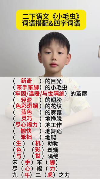 #二年级语文下册 《小毛虫》词语搭配&词语积累#知识分享 #知识点总结 #每天学习一点点 #词语积累