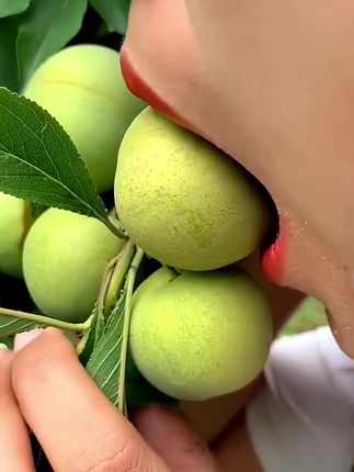 李子,又青又脆的脱骨李,一口咬下去都是脆脆的