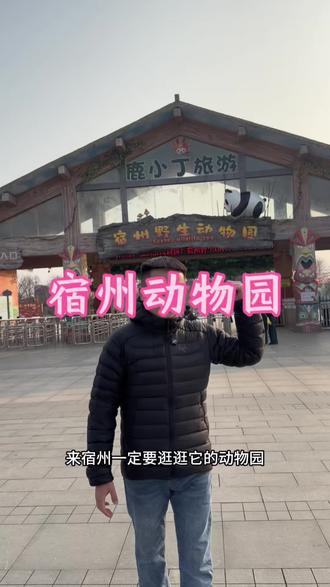 宿州动物园:#宿州野生动物园#淮海野生代言人#谁家熊猫这么会营业#淮海虎天团申请出战