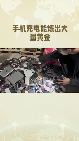 电子炼金热,一场疯狂的骗局 #电子炼金