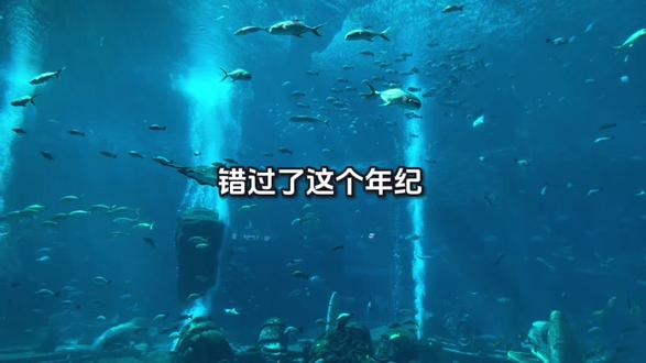 16岁电竞天才被俱乐部看中,家长宁让卖淀粉肠!
#电竞少年 #电子竞技 #无畏契约 #父母与孩子 #真实生活分享计划