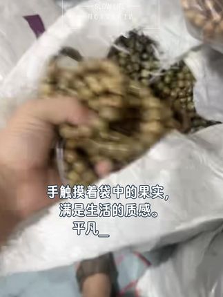 #文玩爱好者 #文玩收藏 #文玩手串 #盘它就完了 #手串
