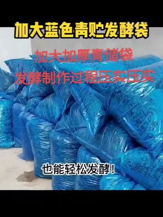 没有发酵池,也能轻松发酵饲料#发酵袋#青储袋#青储饲料 #饲料发酵 #猪牛羊养殖 #青储黄储