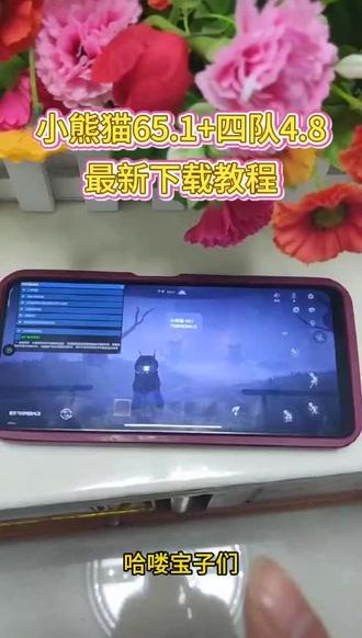 #超自然小熊猫65.1 《轩子爱玩》超自然小熊猫65.1+四队4.8修复版下载教程来了#超自然小熊猫 #超自然辅助