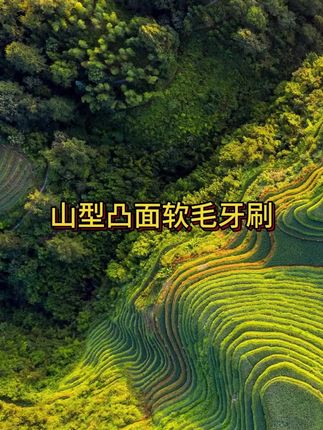 十支家庭装罗马柱升级版山型凸面软毛牙刷洁齿护龈小头深度清洁#山型凸面牙刷 #软毛牙刷