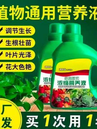 #植物通用营养液 营养液植物通用型花肥发财树富贵竹绿萝水培发财树怎么养才能旺盛