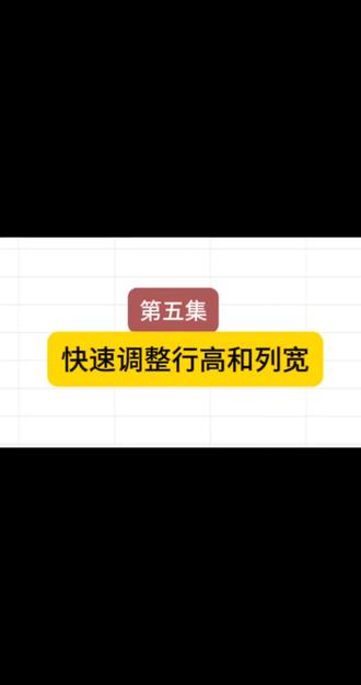 快速调整行高和列宽#excel #excel技巧
