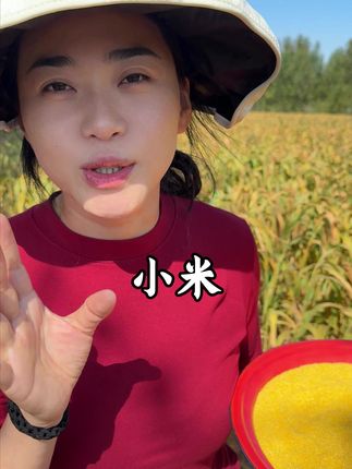 小米 跟水的比例 是 1比15 越熬越香 越熬越烂糊 米油厚厚的 这就是正儿八经的 大金苗k1品种#好物推荐