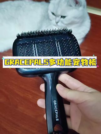 还在为宠物梳毛发愁?这款梳子来救场#宠物梳子 #养猫新手