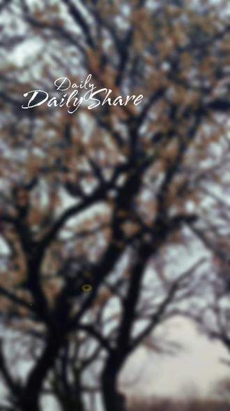 郏县白庙乡马沟古花开了。