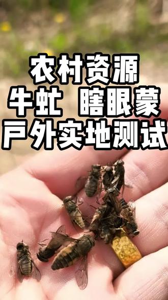 农村资源抓牛虻也就是瞎眼蒙