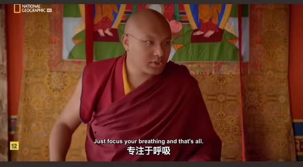 🎬 摩根·弗里曼与噶玛巴(大宝法王)的对话核心内容
这段对话出自国家地理纪录片《与摩根·弗里曼探寻神的故事》第一季第3集《Afterlife(来世/超越死亡)》,两人围绕藏传佛教的核心信仰、生死与心灵议题展开深度交流,核心聊了这些内容:
一、核心对话主题(按优先级排序)
1. 🔄 轮回、转世与活佛制度(最核心)
这是两人对话的主线:
• 摩根·弗里曼以好奇的视角,询问噶玛巴关于藏传佛教活佛转世的核心逻辑:灵魂如何在生死间流转、转世的依据、历代噶玛巴的传承本质。
• 噶玛巴系统解释了转世制度的起源(噶玛噶举派是藏传佛教最早开创活佛转世的教派),以及“转世不是为了权力,而是为了延续度化众生的愿力”这一核心观点。
• 同时深入探讨了佛教的轮回观:生命不是一次性的,灵魂会随业力在六道中流转,修行的目的是脱离轮回、成就佛果。
2. 🧘 禅修、正念与心灵修行
• 摩根·弗里曼询问了藏传佛教的禅修方法(如大手印、止观禅修),以及禅修如何帮助人面对痛苦、获得内心平静。
• 噶玛巴分享了禅修的本质:不是逃避现实,而是看清心念的本质,培养对自己和他人的慈悲心,用正念应对生活中的烦恼。
3. 🤝 慈悲、爱与普度众生
• 对话围绕佛教的核心精神“慈悲”展开:噶玛巴解释了“无缘大慈、同体大悲”的含义,即对所有众生无条件的爱与共情,这也是噶玛巴转世的核心愿力。
• 两人也聊到了不同宗教的共通性:无论信仰是什么,爱与慈悲都是所有宗教的终极目标,佛教的修行最终是为了利益一切众生。
4. 🧠 痛苦、业力与生命的意义
• 摩根·弗里曼提问:人为什么会经历痛苦?痛苦的根源是什么?
• 噶玛巴用佛教的“十二因缘”“业力”理论解释:痛苦源于无明(对真相的无知)和执着,而业力是生命流转的动力,修行就是通过觉察和行善,改变业力、终结痛苦。
• 同时探讨了生命的终极意义:不是追求世俗的成功,而是觉醒、解脱,并帮助他人觉醒。
5. 🌍 藏传佛教的文化与传承
• 摩根·弗里曼也问到了藏传佛教的仪轨、法器、寺院生活等文化细节,噶玛巴介绍了藏传佛教的修行传统、噶举派的传承历史,以及藏文化中信仰与生活的融合。
二、对话的核心背景补充
• 对话地点:印度菩提伽耶(释迦牟尼成道的圣地,也是17世噶玛巴的驻锡地之一)
• 对话氛围:全程是平等、好奇的交流,摩根·弗里曼以“探索者