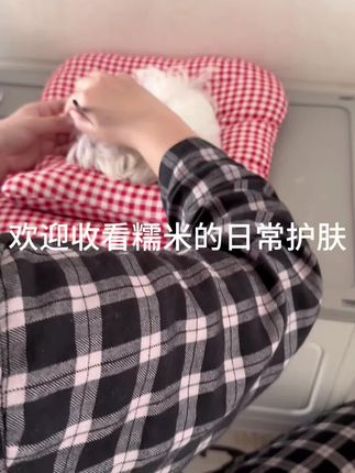 宠物免疫力up的小秘密✨健瑞欣乳铁蛋白胶囊,澳洲进口原料,零乳糖更护肠胃,每日一粒,给毛孩子稳稳的健康守护~#马尔济斯