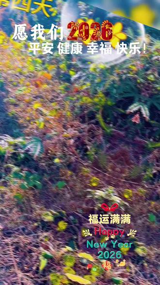 2026 年正月初四,登高望远#爬山