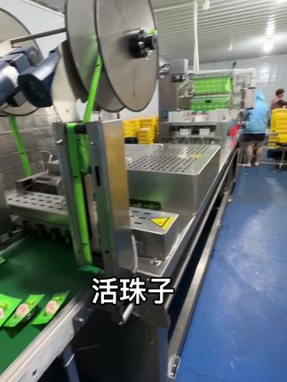 源头厂家,新鲜出炉,欢迎各位老板砸单。大补😊