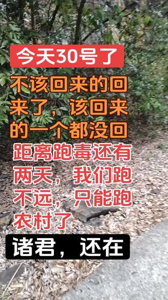 都以吨几十吨为单位了,#元旦 #元旦晚会 #准备出发