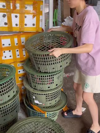 #超大青蟹#大红膏蟹 #包活到家