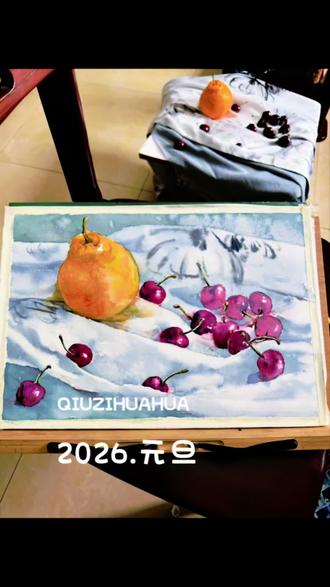 2026年的第一天,窗外白雪皑皑,出门写生不便,便在家把女儿送来的车厘子和丑橘摆成静物,提笔写生。红紫的车厘子甜润,金黄的丑橘讨喜,画里是鲜果的明艳,画外是女儿的心意,窗外是落雪的温柔。新的一年,不求波澜壮阔,只愿家人常伴,日子像这画里的果实般,甜甜蜜蜜,吉吉利利。#画画#水彩#2026元旦#秋子画室#明哥画梅花