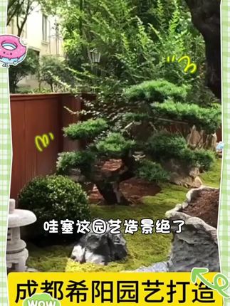 【优选厚切】芒果干酸甜新鲜大片果干果脯蜜饯休闲解馋零食年货批发