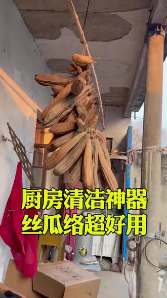 丝瓜络用途广泛#丝瓜络清洁 #厨房好物推荐 #刷锅神器 #好物分享