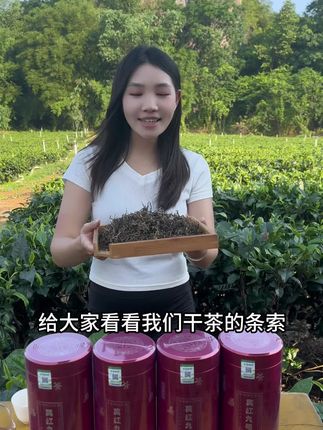 高山种植的英红九号春茶,茶园直供!