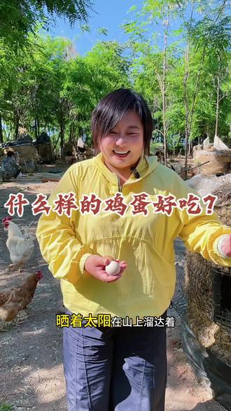 什么样的鸡蛋是土鸡蛋?#吃五谷杂粮的鸡下的蛋真香 #新农人生活趣事