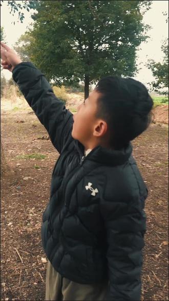 给小鹦鹉,手搓一个玩具架。#小太阳鹦鹉