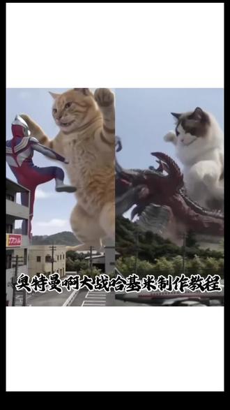 你们都在找的奥特曼大战怪兽ai教程来啦 #小云雀AI #小云雀爆款马上成片 #小云雀seedance #噜噜大战怪兽 #奶龙ai打架 平成奥特曼打斗 平成奥特曼 奥特曼打斗ai怎么生成 ai新模型seedance2视频 ai奥特曼 迪迦奥特曼 猫咪暴打奥特曼 圆头耄耋 噜噜大战怪兽怎么做 奶龙ai打架怎么做 平成奥特曼打斗怎么做 平成奥特曼怎么做 奥特曼打斗ai怎么生成怎么做 ai新模型seedance2视频怎么做 ai奥特曼怎么做 迪迦奥特曼怎么做 猫咪暴打奥特曼怎么做 圆头耄耋怎么做