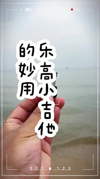 乐高小吉他的妙用! #积木 #积木搭建 #乐高 #益智玩具 #乐高玩具
