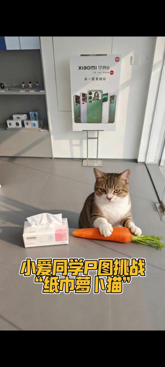 怎样用小爱同学训猫 #萝卜纸巾猫咪模仿挑战 #小米手机 #小爱同学 #