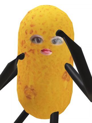 视频同款