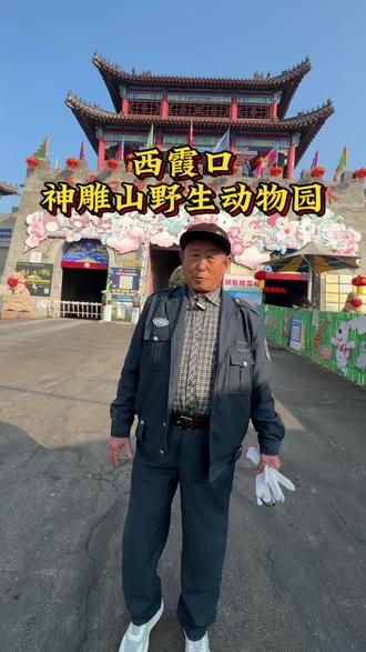 威海旅游就来西霞口神雕山野生动物园! #一张图证明你去过的地方 #游山玩水看风景 #威海西霞口野生动物园 #威海旅游攻略 #过年去哪玩