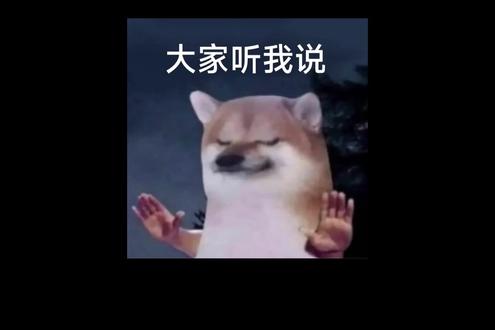 5060TI 8G真的香爆了#电脑知识 #显卡 #内存