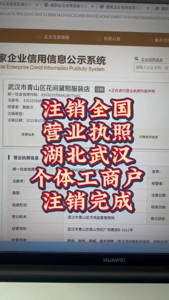 注销全国营业执照,现在网上注销营业执照非常非常简单#营业执照#营业执照注销#注销公司