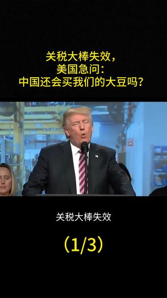 关税大棒失效,美国急问:中国还会买我们的大豆吗?#军事科普 #国际新闻 #大国重器 #局势分析 #最新消息
