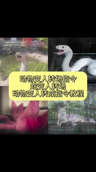 动物变人转场教程来了! #动物变人 #动物变人转场 狐狸变人转场特效蛇变人 ai动物拟人化 ai蛇变人特效制作 动物幻化成人形转场 动物变人转场豹子 动物变人ai指令 动物变人特效 ai变人特效制作 动物变人ai指令 动物变人ai指令 蛇女变身 蛇女拍照姿势 蛇幻影美女 蛇变人转场 狐狸变人转场 豹子变人转场 我看见了你的风尘 ai狐狸化形模板 青蛇变人ai动物变人#即梦Ai#AI分身戏精大赛 #我的AI分身杀疯了