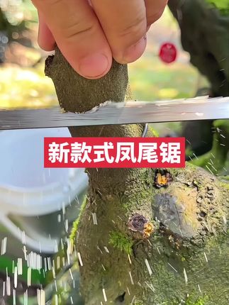 #盆景制作 #创作者扶持计划 #盆景工具