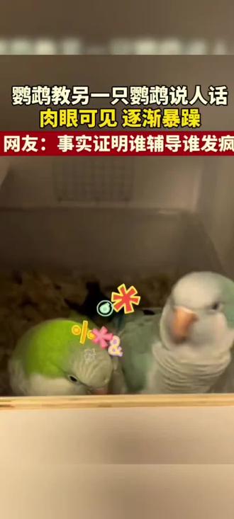 事实证明谁辅导 谁发疯🤣🤣#会说话的鹦鹉