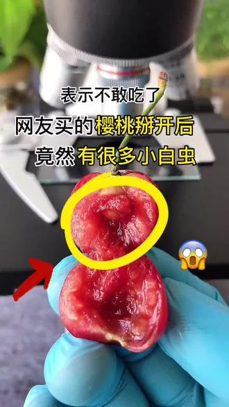 当樱桃放大200倍后给好奇的小朋友们看看?#显微镜 #微观世界 #微生物 #显微镜下的世界 #每天跟我涨知识