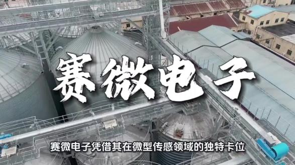 资本狂欢下的价值博弈:赛微电子炒作热潮的深层解构