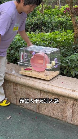 仓鼠的求救信号,你知道几个?#养仓鼠必看 #仓鼠 #仓鼠驱虫喷雾