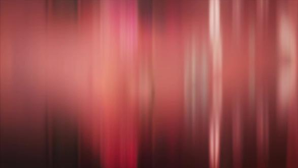 ACE检测到汉堡老师