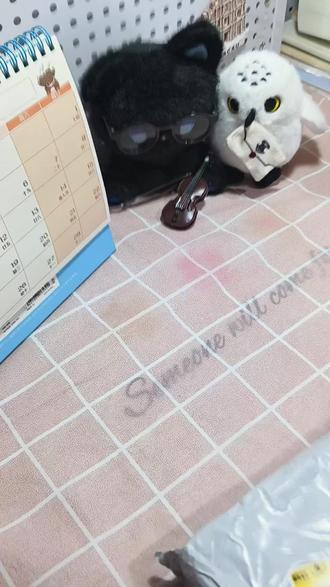 《乌托邦记事》开箱🩵🩷
#橹穆 #271199