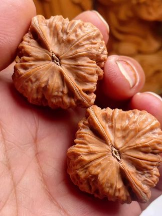 三腿金蝉!骨质如石!红皮上色贼快!#文玩爱好者 #文玩核桃 #只做精品 #精品文玩 #强烈推荐