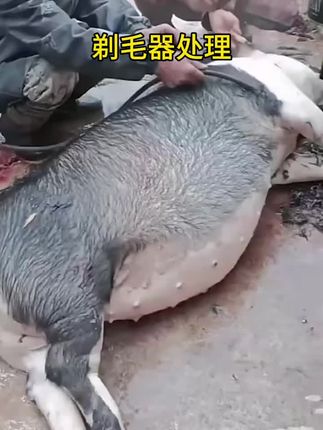 #剃毛器 #剃毛刀